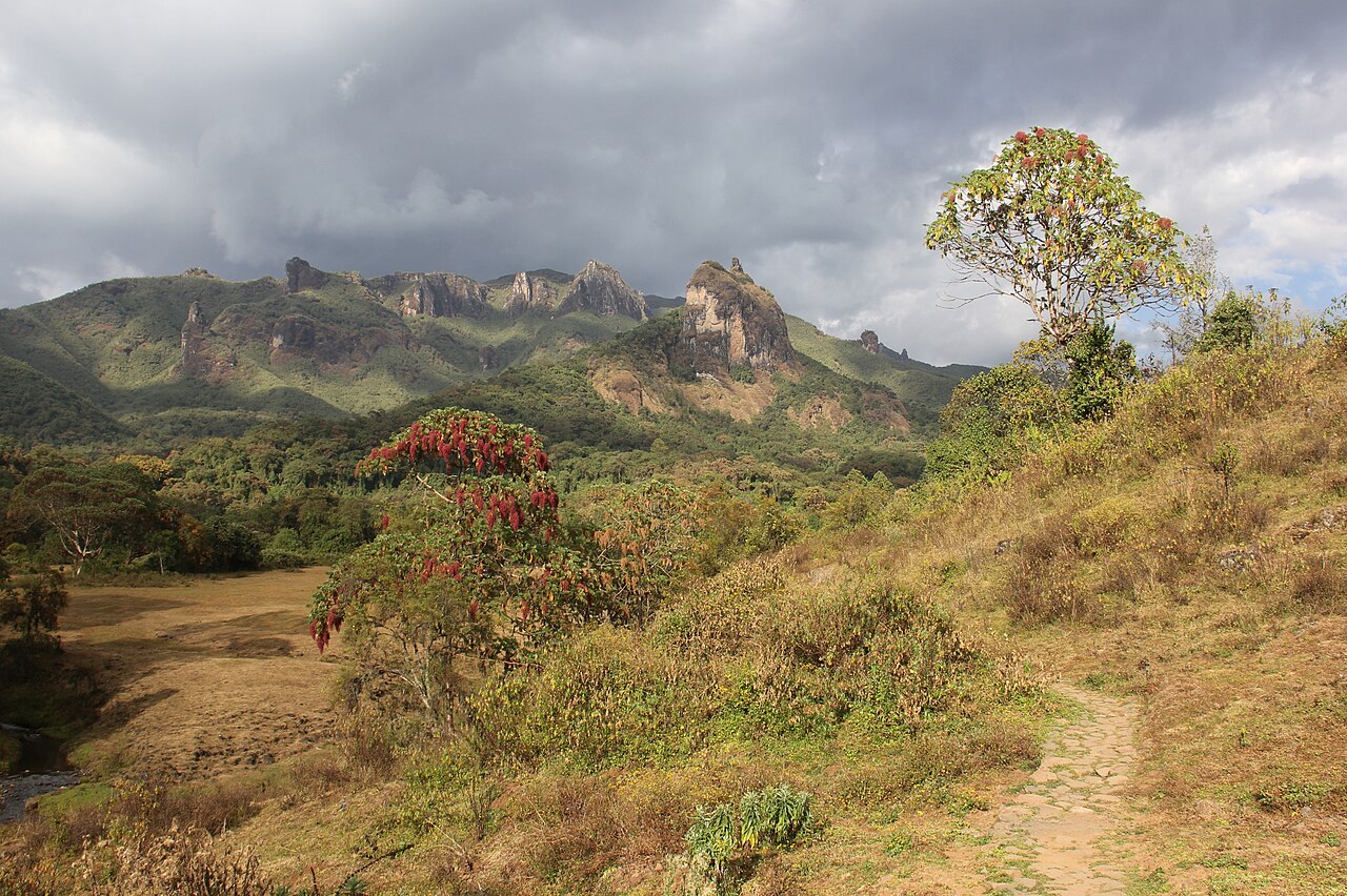 Harenna Forest in Bale Mountains National Park