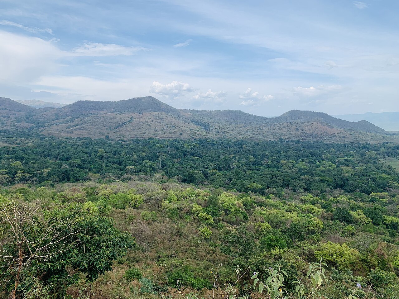Chebera Churchura National Park in the wet forests of the south-west